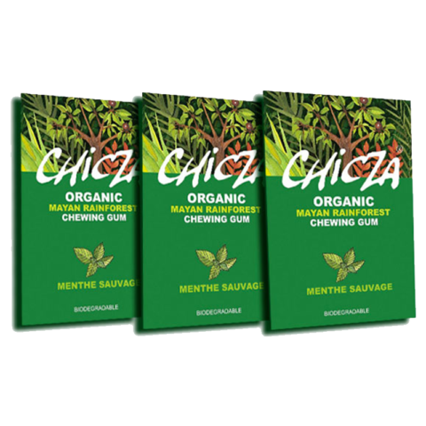 Chicza Menthe Sauvage Lot x 3